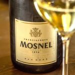 Mosnel vini Franciacorta da 5 generazioni